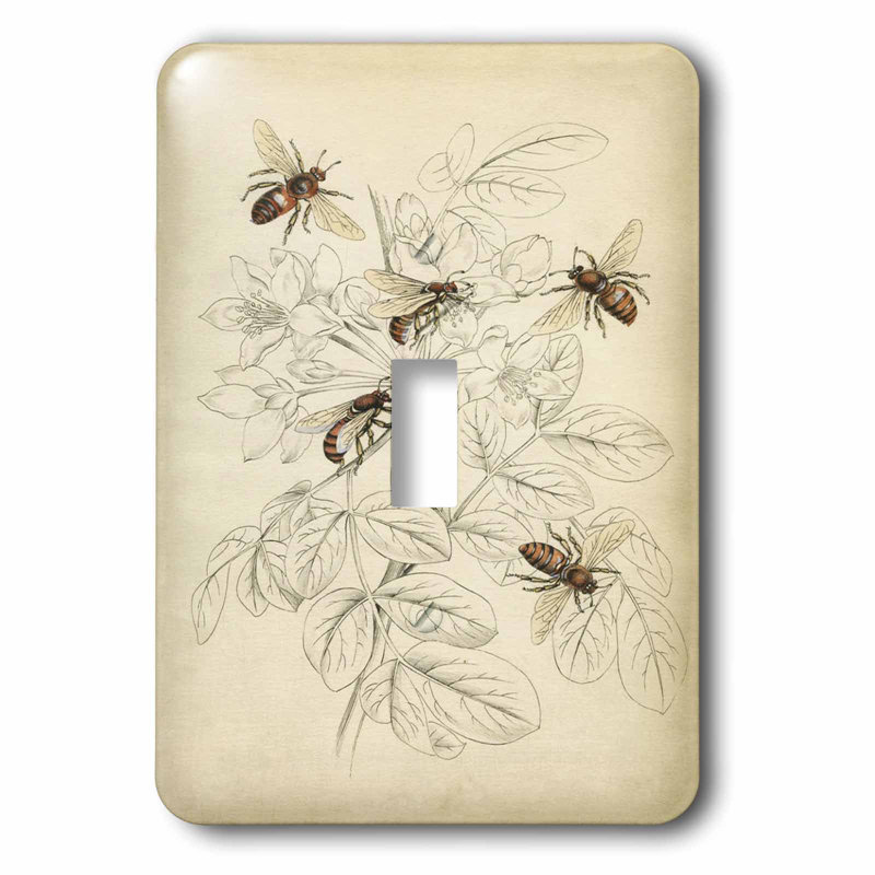 3dRose 1Gang Toggle Light Switch Wall Plate Wayfair